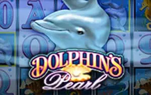casino amigo